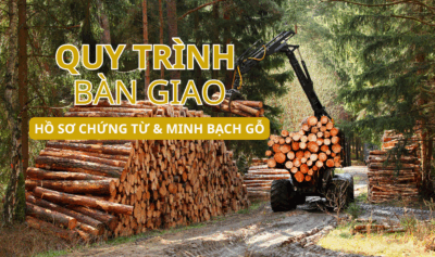 Quy trình bàn giao hồ sơ chứng từ khi mua bán gỗ tại Motico
